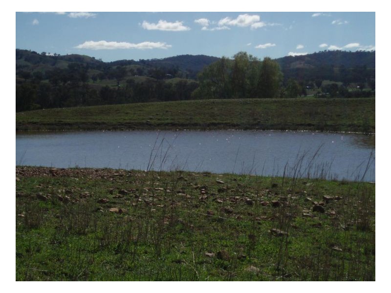 BELMONT – Attunga, Tamworth NSW 2340