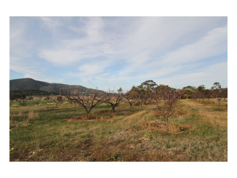 BEAUMONT, Currabubula NSW 2342