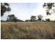 BEAUMONT, Currabubula NSW 2342