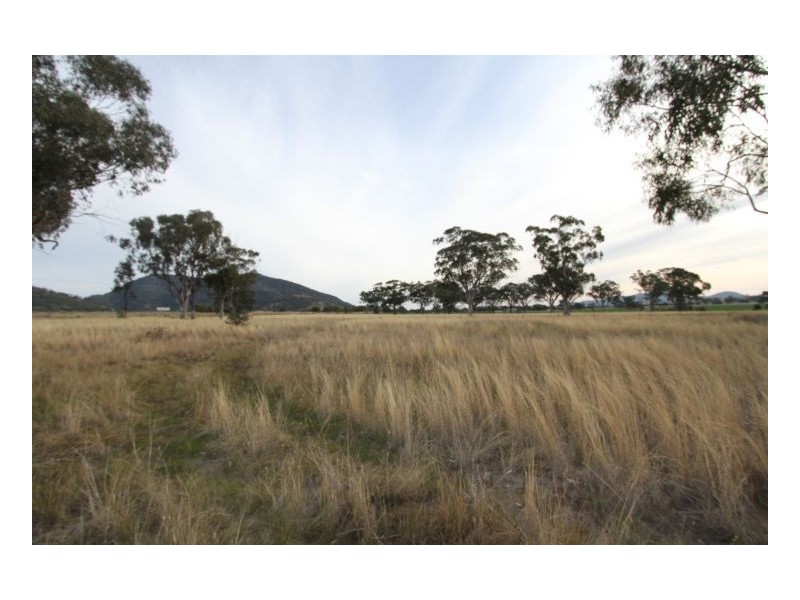 BEAUMONT, Currabubula NSW 2342