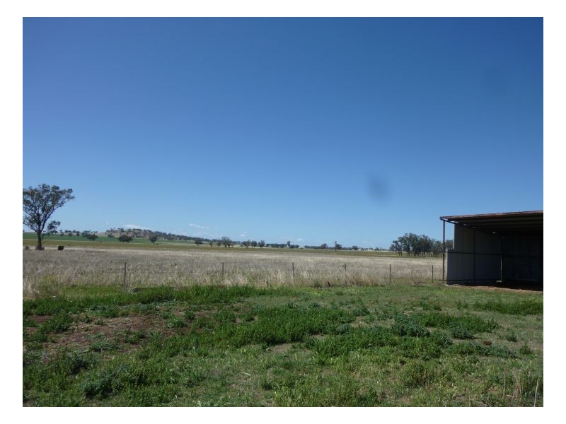 THE VIEW – Winton, Tamworth NSW 2340
