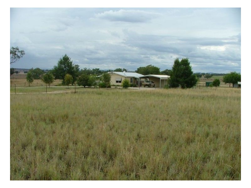 DREAMTIME – Winton, Tamworth NSW 2340