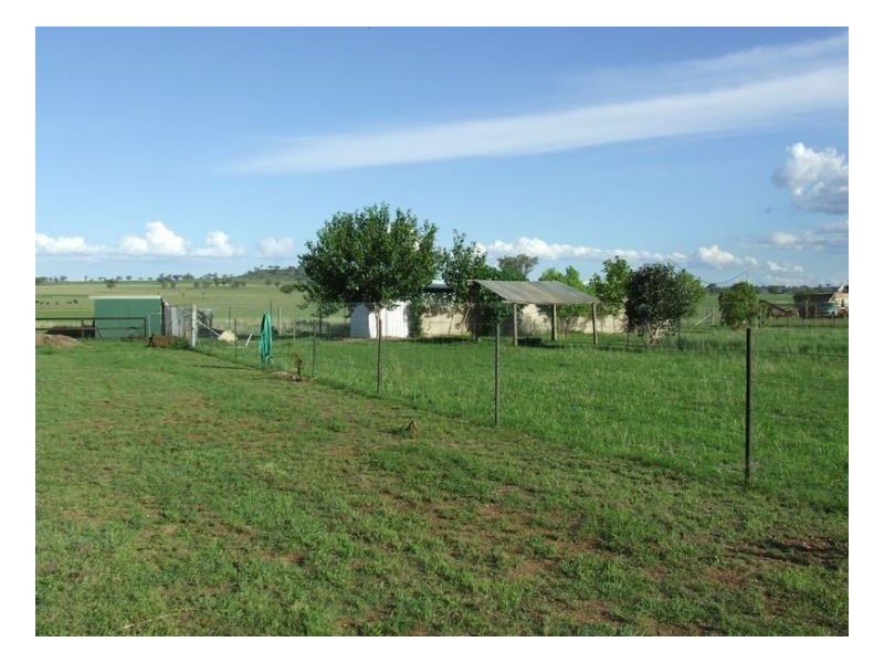DREAMTIME – Winton, Tamworth NSW 2340