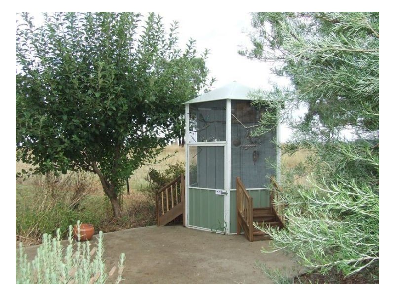 DREAMTIME – Winton, Tamworth NSW 2340