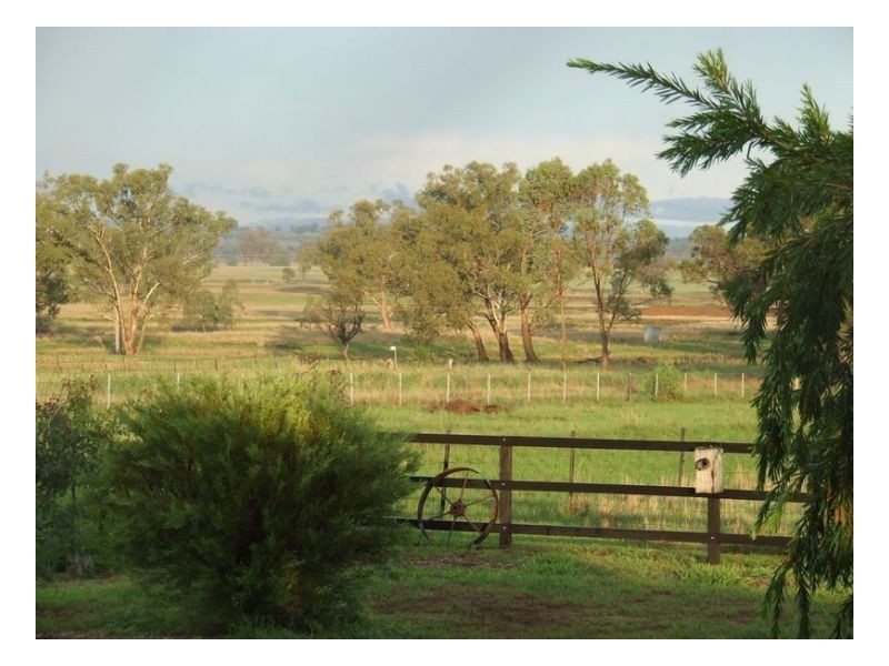 DREAMTIME – Winton, Tamworth NSW 2340
