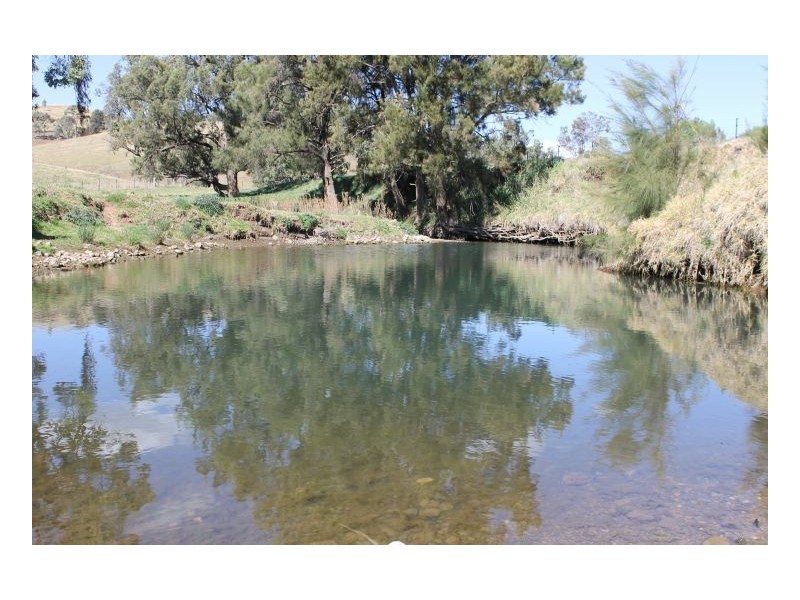 CLYDESDALE – Wallabadah, Tamworth NSW 2340