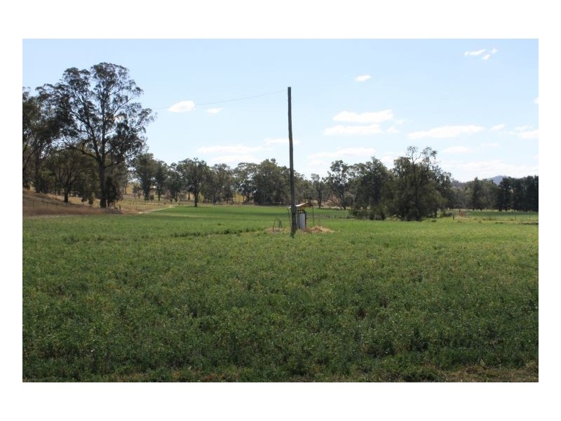 CLYDESDALE – Wallabadah, Tamworth NSW 2340