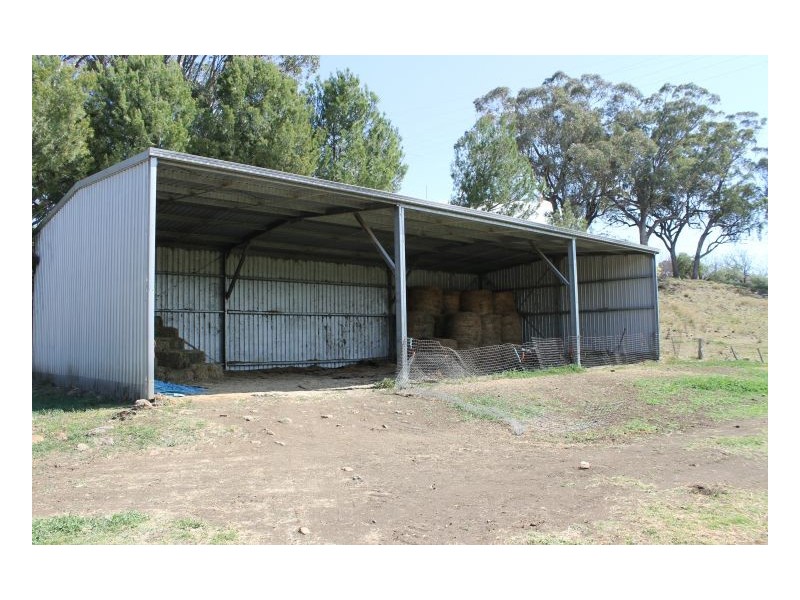 CLYDESDALE – Wallabadah, Tamworth NSW 2340