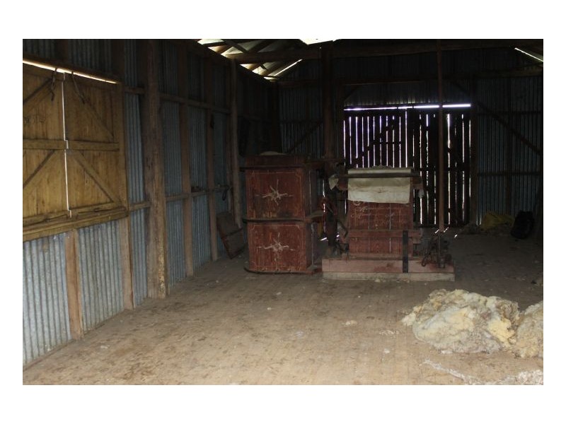 CLYDESDALE – Wallabadah, Tamworth NSW 2340