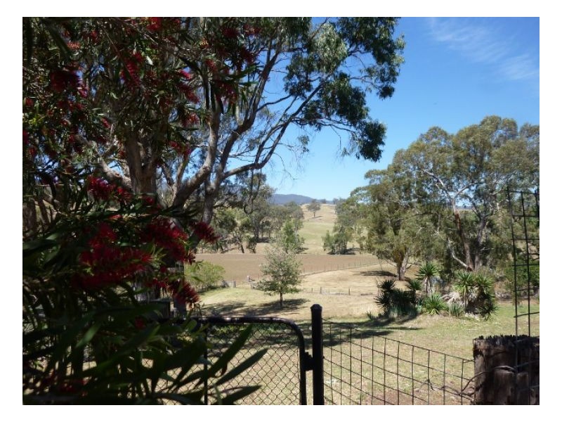CLYDESDALE – Wallabadah, Tamworth NSW 2340