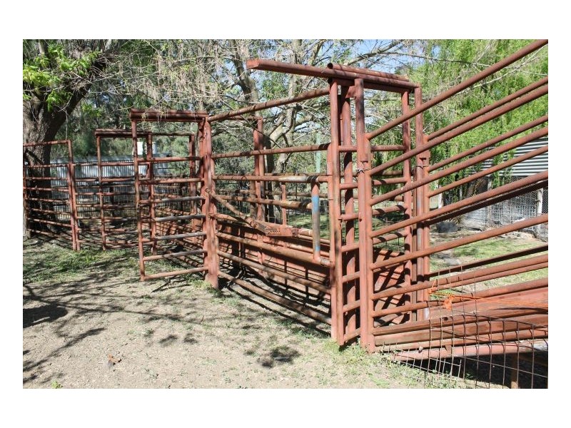 CLYDESDALE – Wallabadah, Tamworth NSW 2340