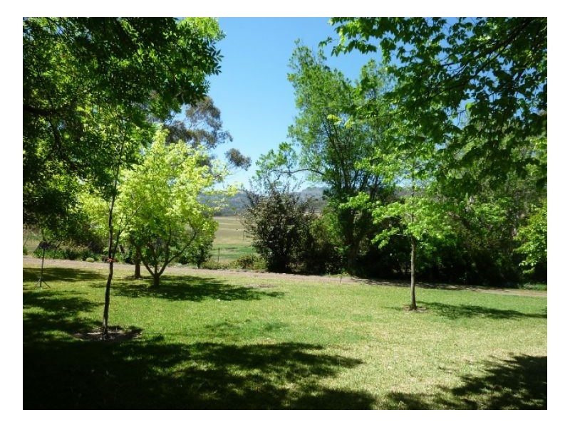 CLYDESDALE – Wallabadah, Tamworth NSW 2340