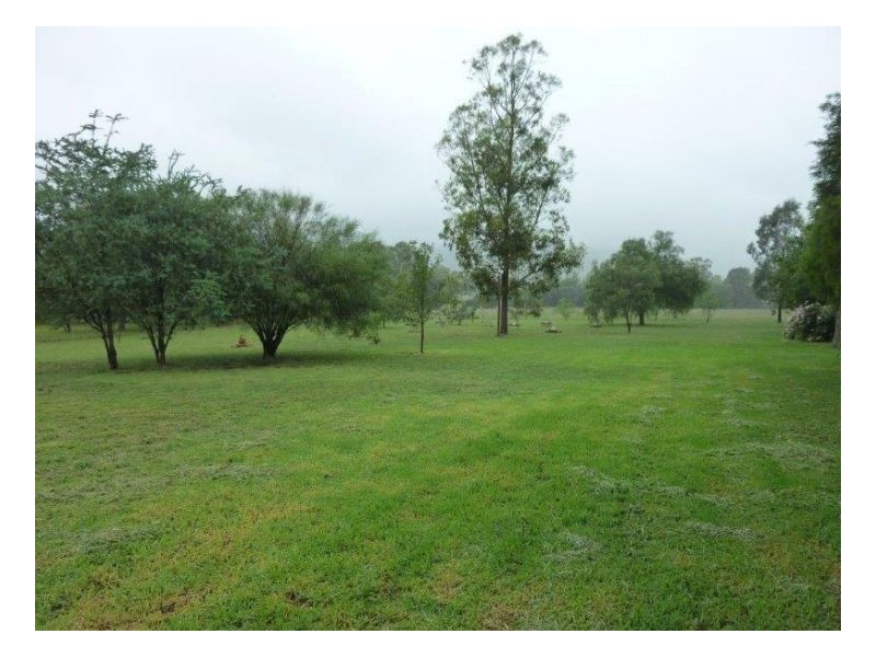 TREGARTHEN, Tamworth NSW 2340