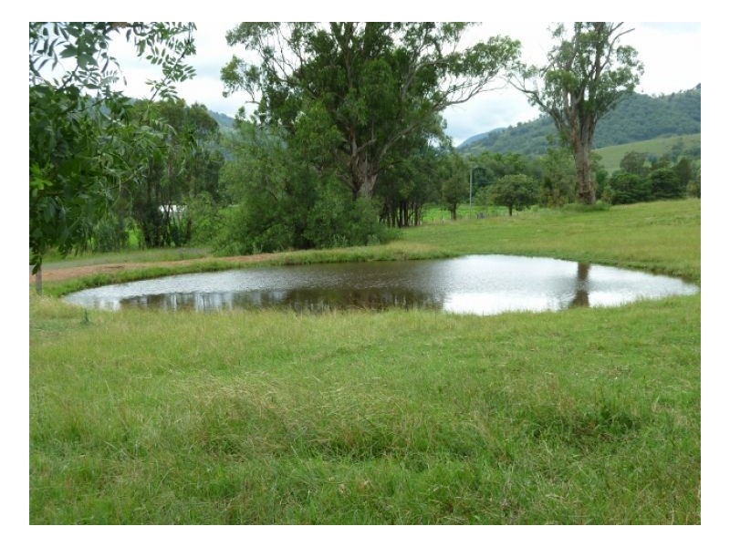 OGUNBIL – Dungowan, Tamworth NSW 2340