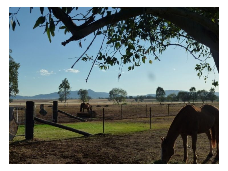 AANUKA PARK – Bithramere, Tamworth NSW 2340