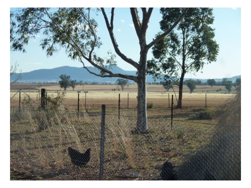 AANUKA PARK – Bithramere, Tamworth NSW 2340