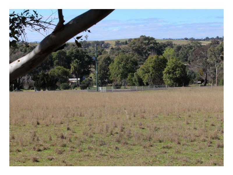 WARRAMUNDI DOWNS – Warral, Tamworth NSW 2340