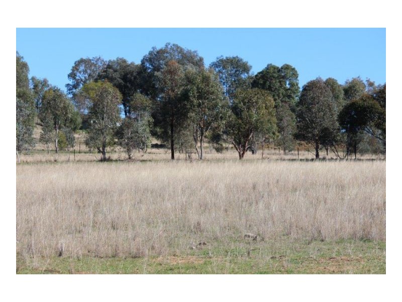 WARRAMUNDI DOWNS – Warral, Tamworth NSW 2340