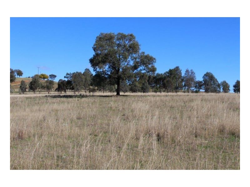 WARRAMUNDI DOWNS – Warral, Tamworth NSW 2340