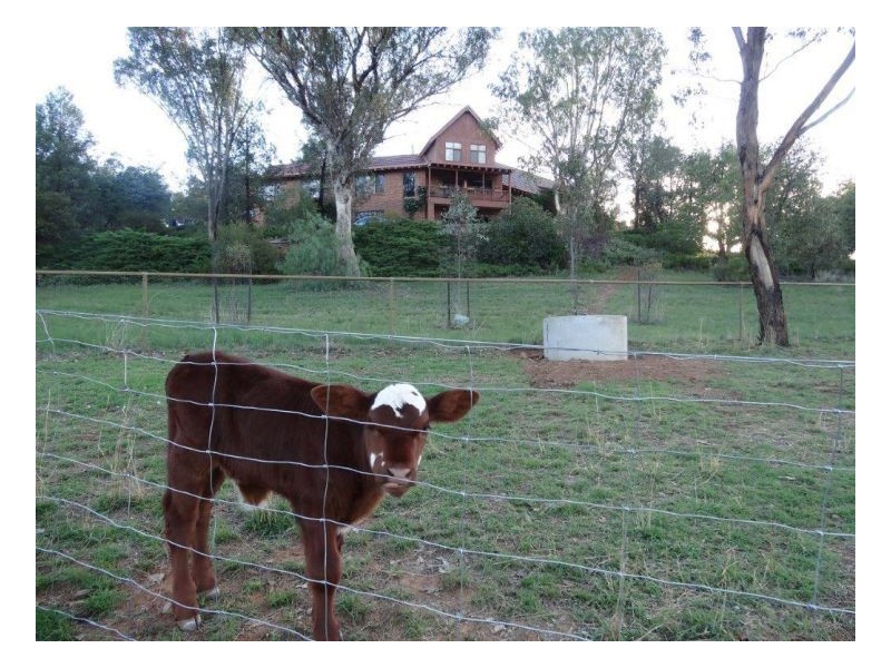 NARA, Tamworth NSW 2340