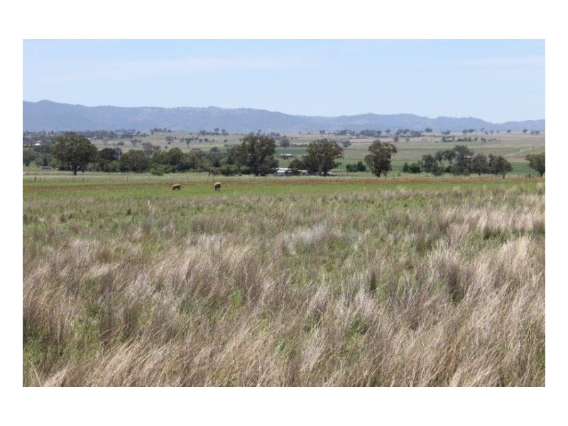GRASSLANDS, Tamworth NSW 2340