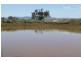 GRASSLANDS, Tamworth NSW 2340