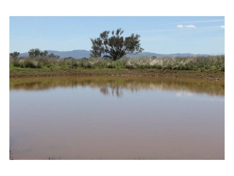 GRASSLANDS, Tamworth NSW 2340