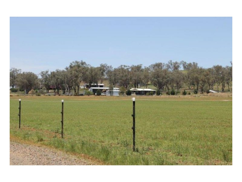 GRASSLANDS, Tamworth NSW 2340