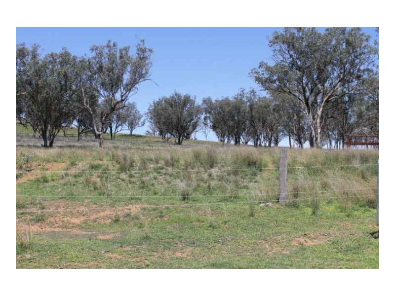 GRASSLANDS, Tamworth NSW 2340