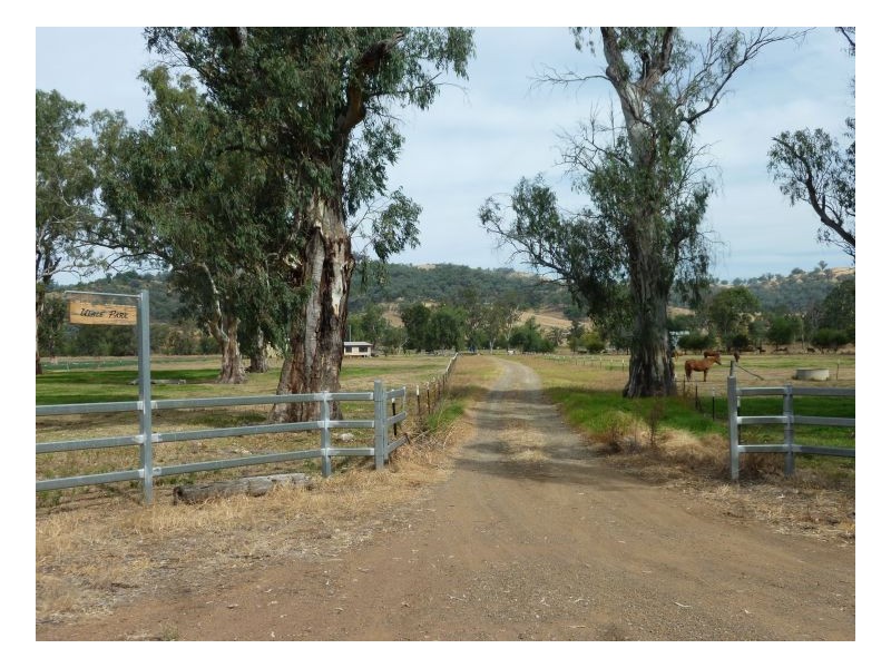 352 Ogunbil Road, Dungowan NSW 2340