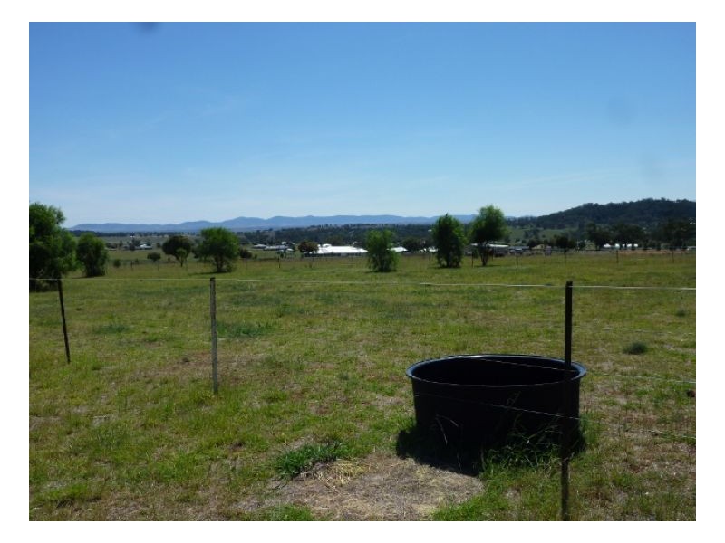 HONEYVIEW, Tamworth, Tamworth NSW 2340