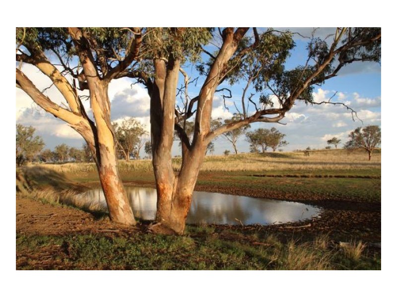 ROCKLEIGH – Winton, Tamworth NSW 2340