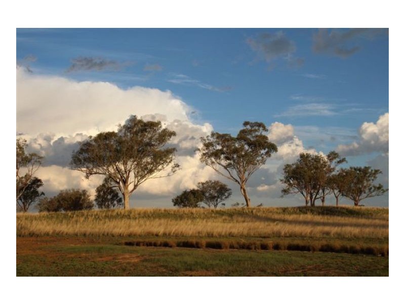 ROCKLEIGH – Winton, Tamworth NSW 2340