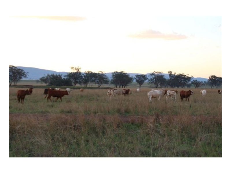 ROCKLEIGH – Winton, Tamworth NSW 2340