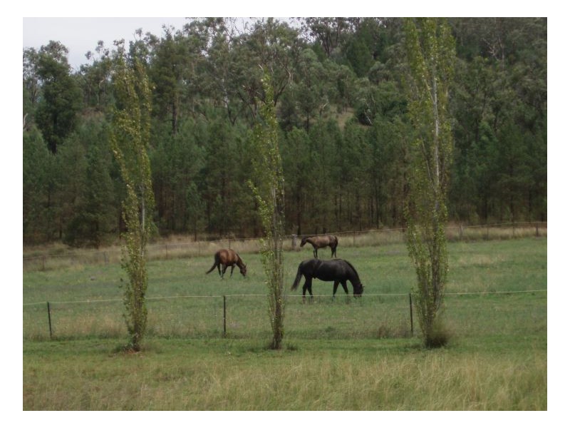 KINGSFORD, Kootingal, Tamworth NSW 2340