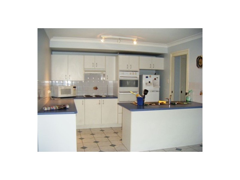 Shelly Beach NSW 2261