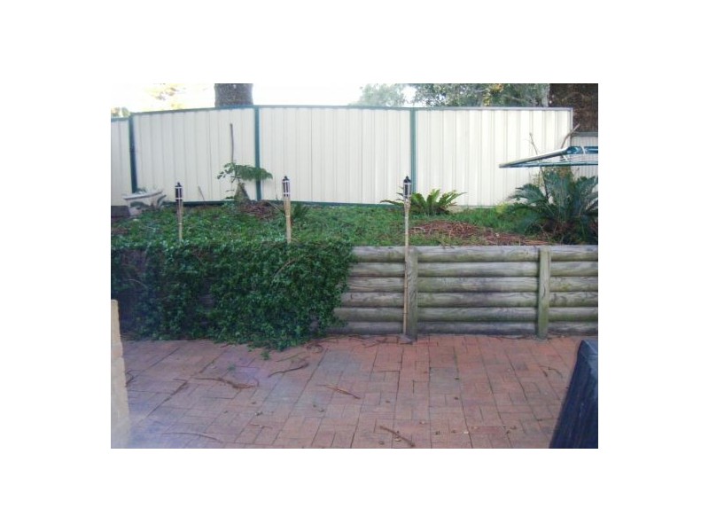 Shelly Beach NSW 2261