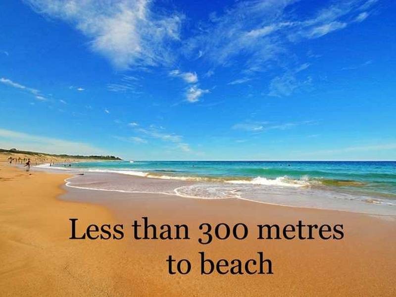 Shelly Beach NSW 2261