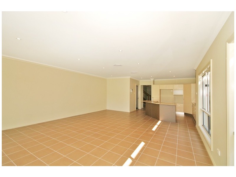 Shelly Beach NSW 2261