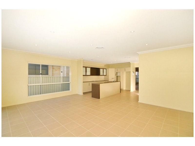 Shelly Beach NSW 2261