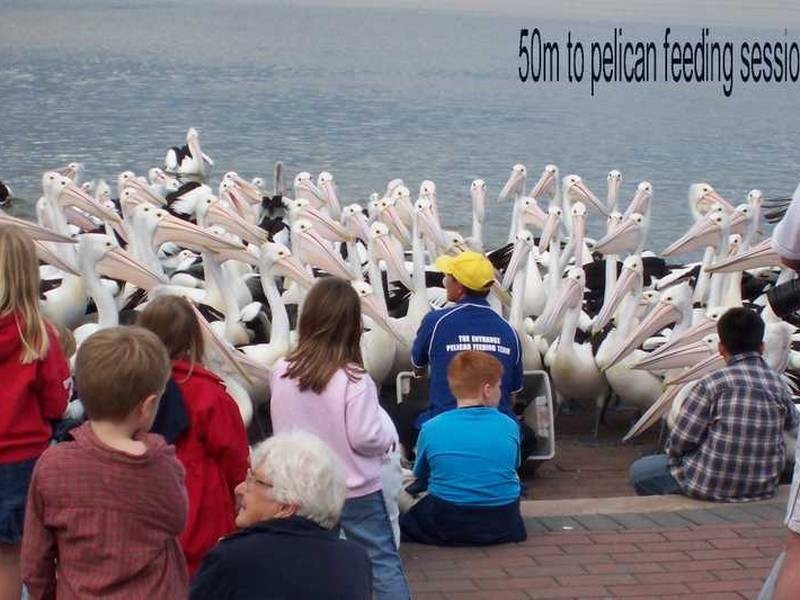 Unit 424 RM 418 The Entrance Road, The Entrance NSW 2261