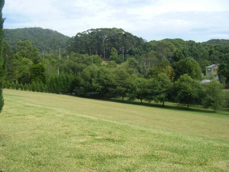 19 Bungendore Road, Picketts Valley NSW 2251