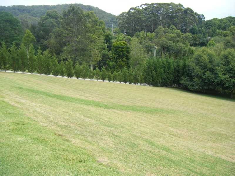 19 Bungendore Road, Picketts Valley NSW 2251