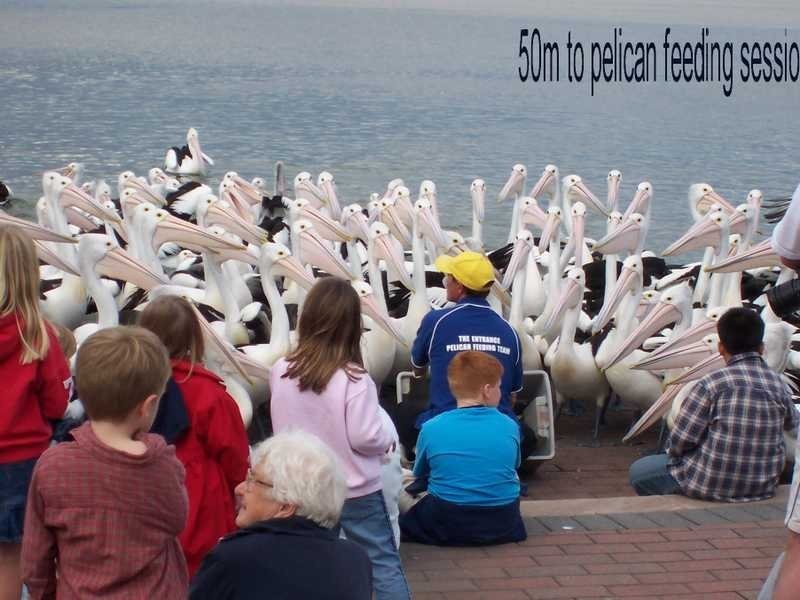 The Entrance NSW 2261