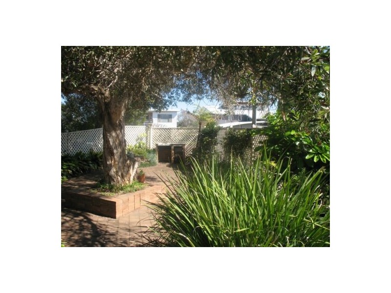 24 Grandview Street, Shelly Beach NSW 2261