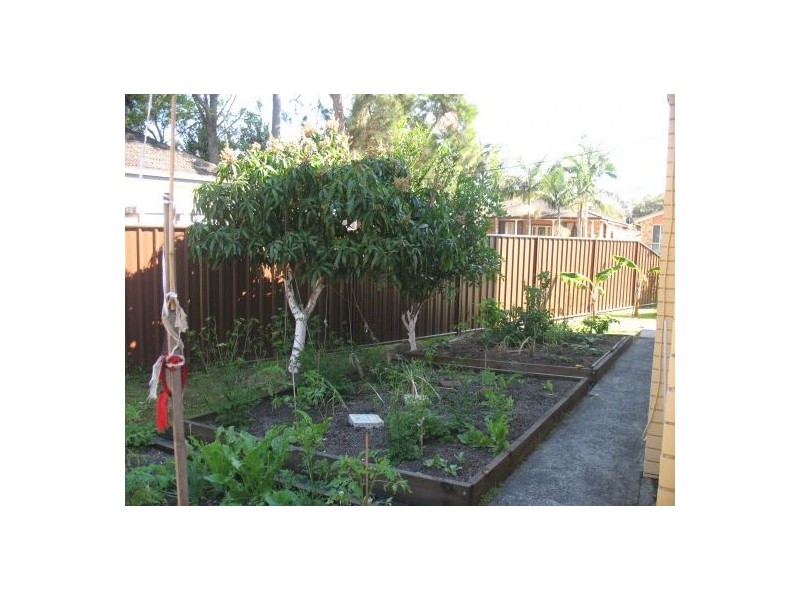 11 Venice Street, Long Jetty NSW 2261