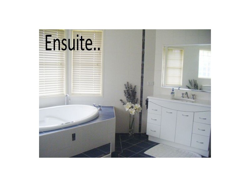 19 Bungendore Road, Picketts Valley NSW 2251