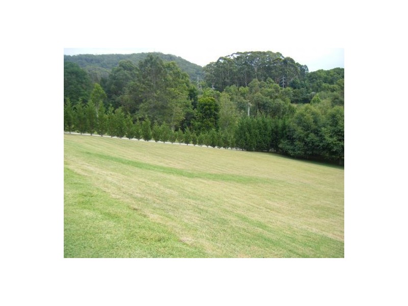 19 Bungendore Road, Picketts Valley NSW 2251