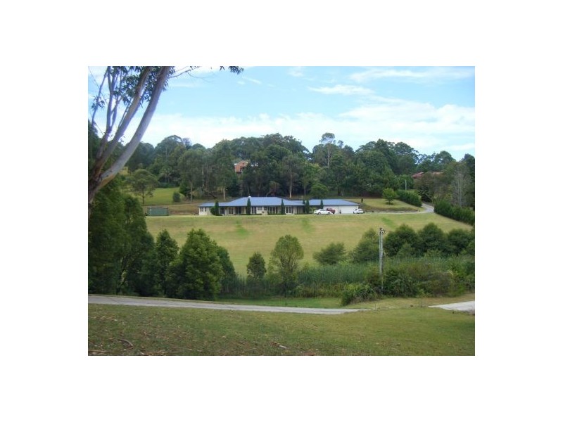 19 Bungendore Road, Picketts Valley NSW 2251