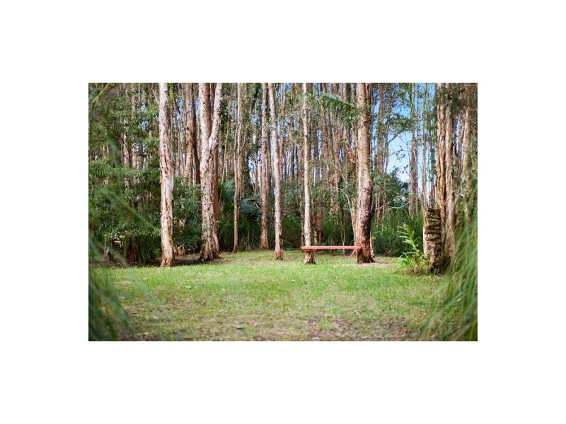 84 Budgewoi Road, Noraville NSW 2263